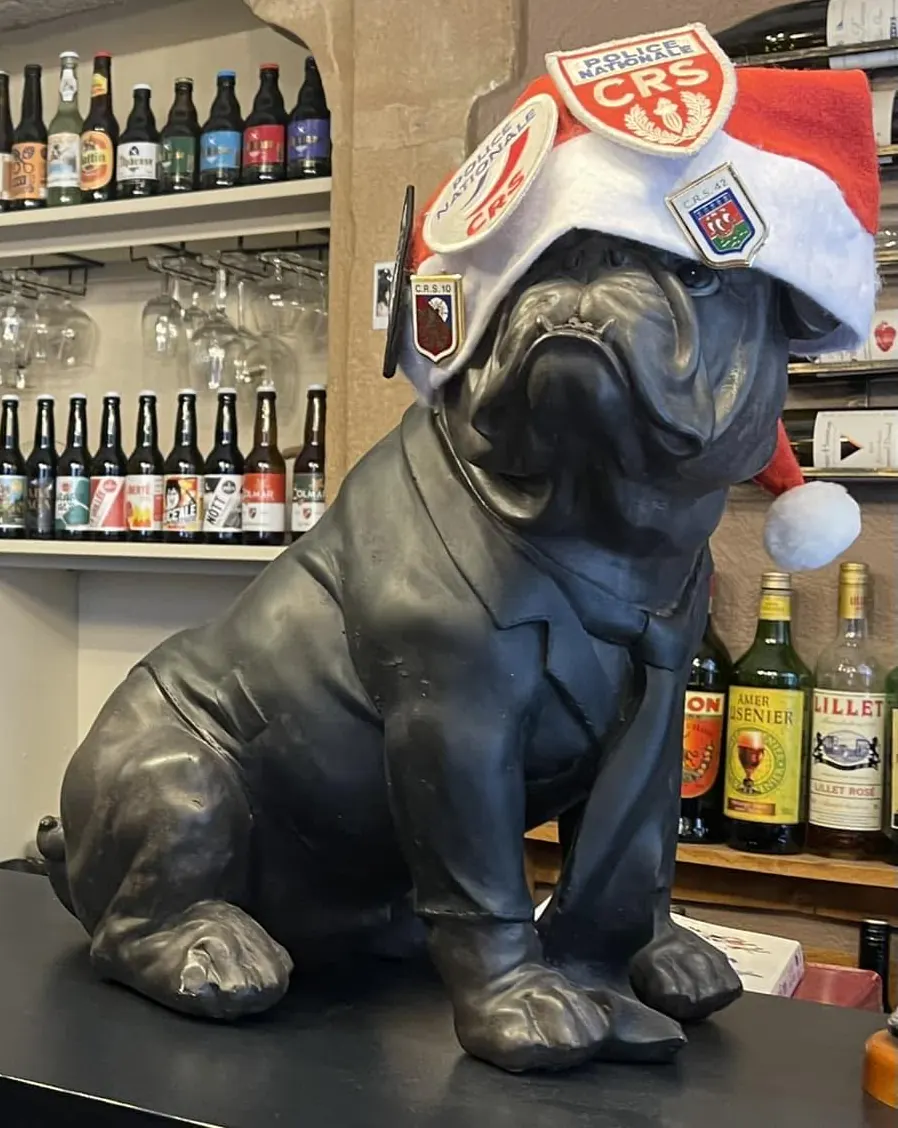 Le bouledogue en costume posé sur le comptoir, devant les bières